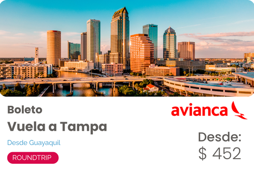 Vuela a Tampa
