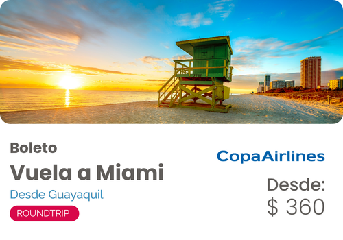 Vuela a Miami